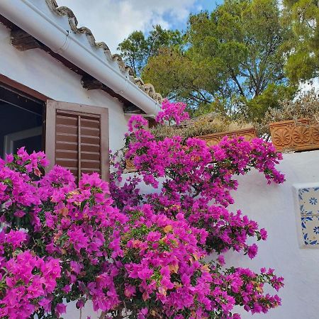 Villa Tonnara ซานวิโต โลคาโป ภายนอก รูปภาพ