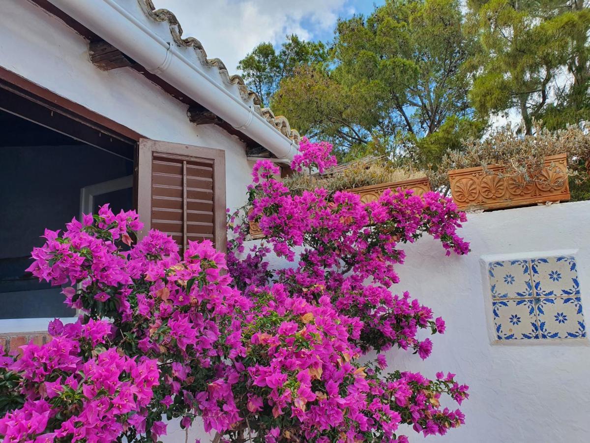 Villa Tonnara ซานวิโต โลคาโป ภายนอก รูปภาพ